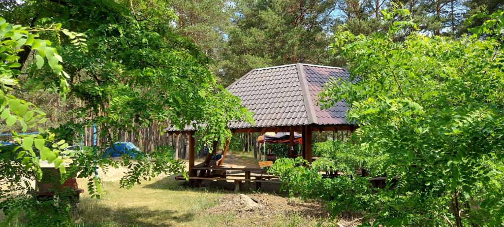Ośrodek Wypoczynkowy Nad Brdą photo 4