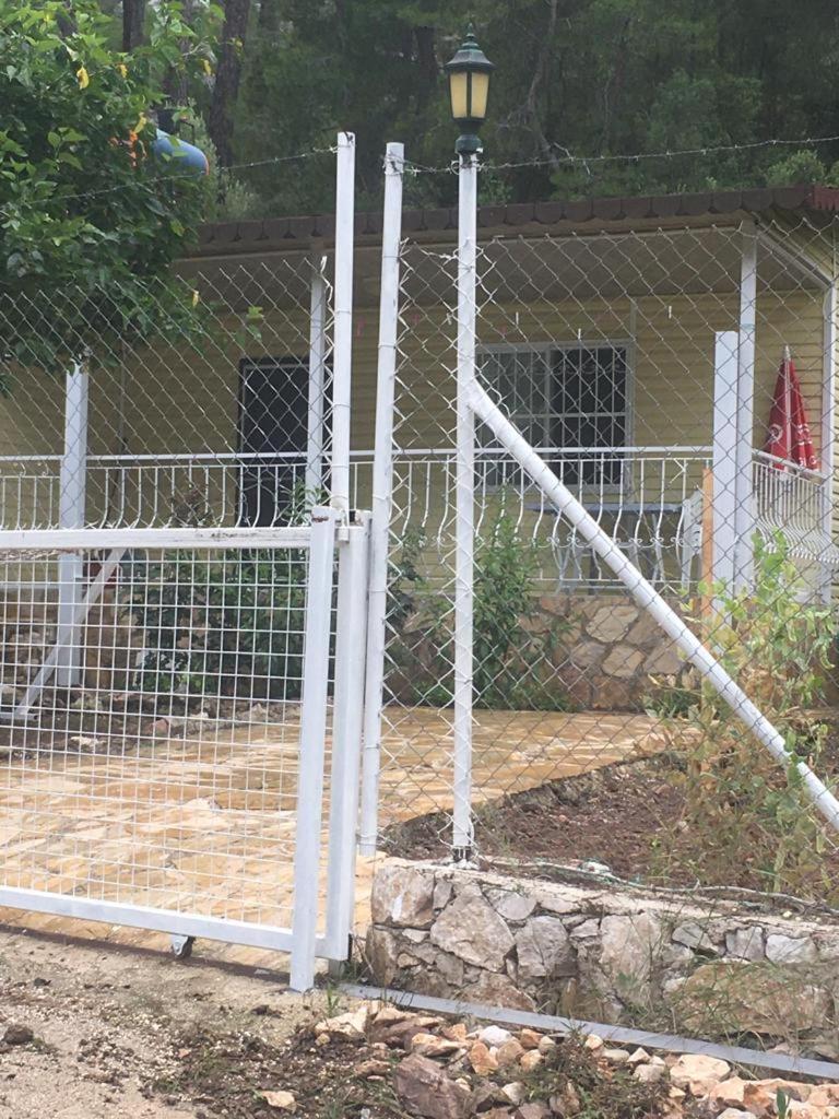 Village Garden Pansiyon photo 1