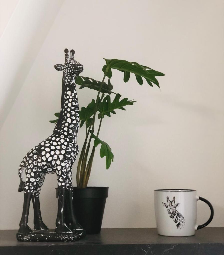 LE GITE DE LA GIRAFE CENTRE VILLE LOUVIERS photo 1