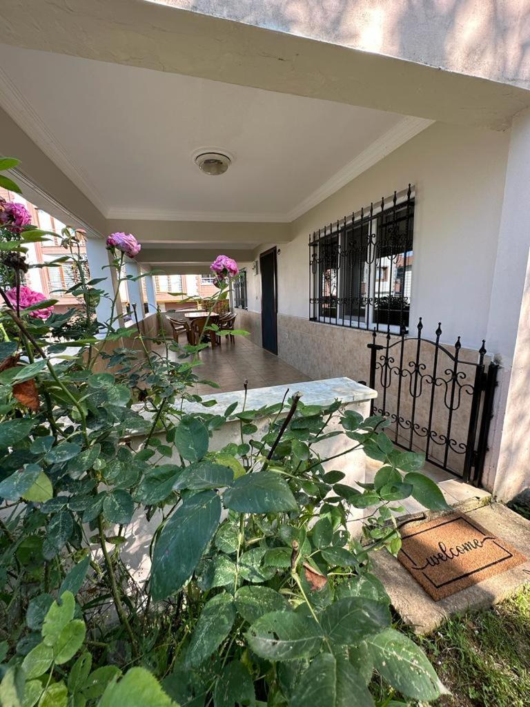 turkish house with garden