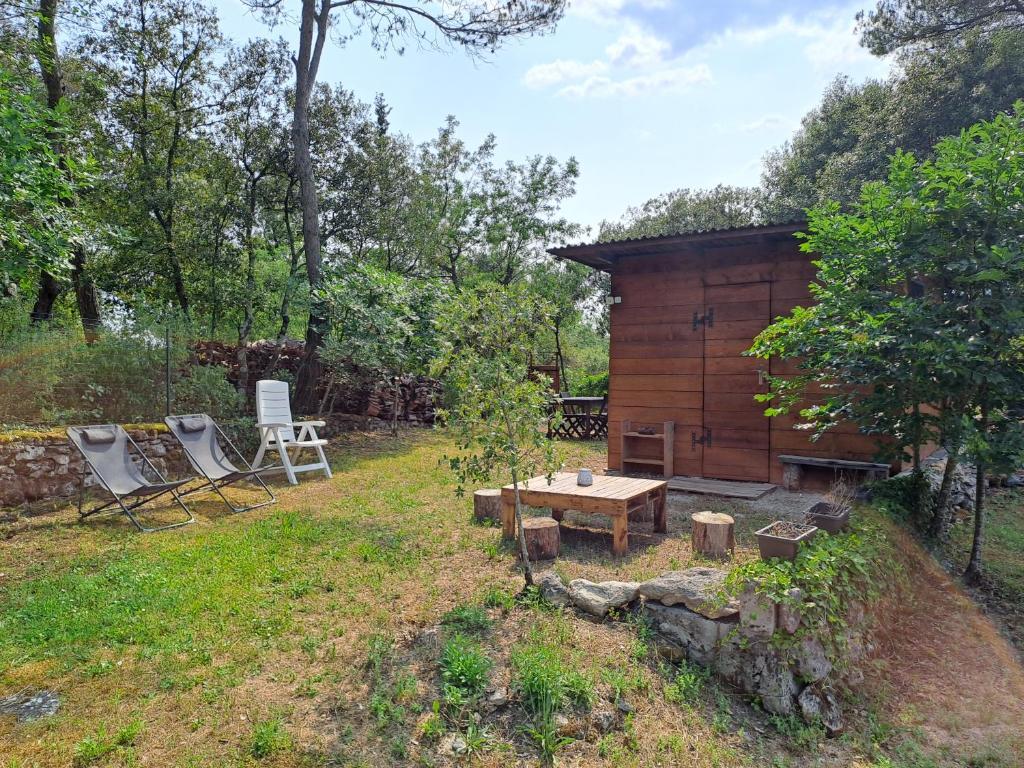 Cabane Eco Lodge photo 1