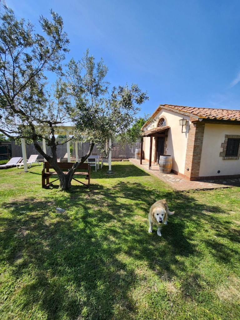 Podere Il Polveroso photo 2