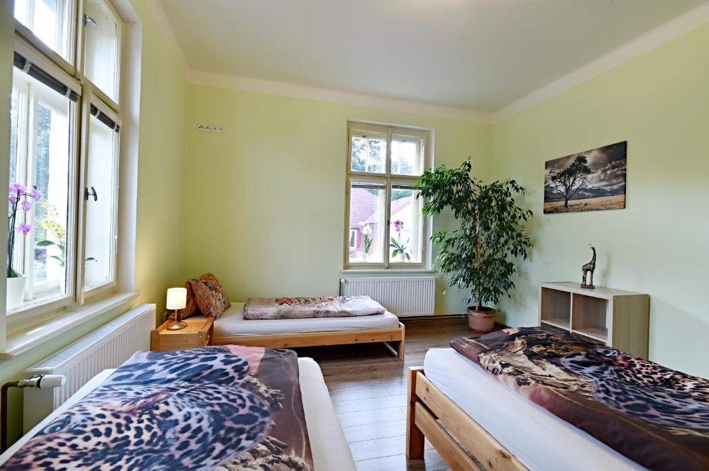Villa vitality photo 4