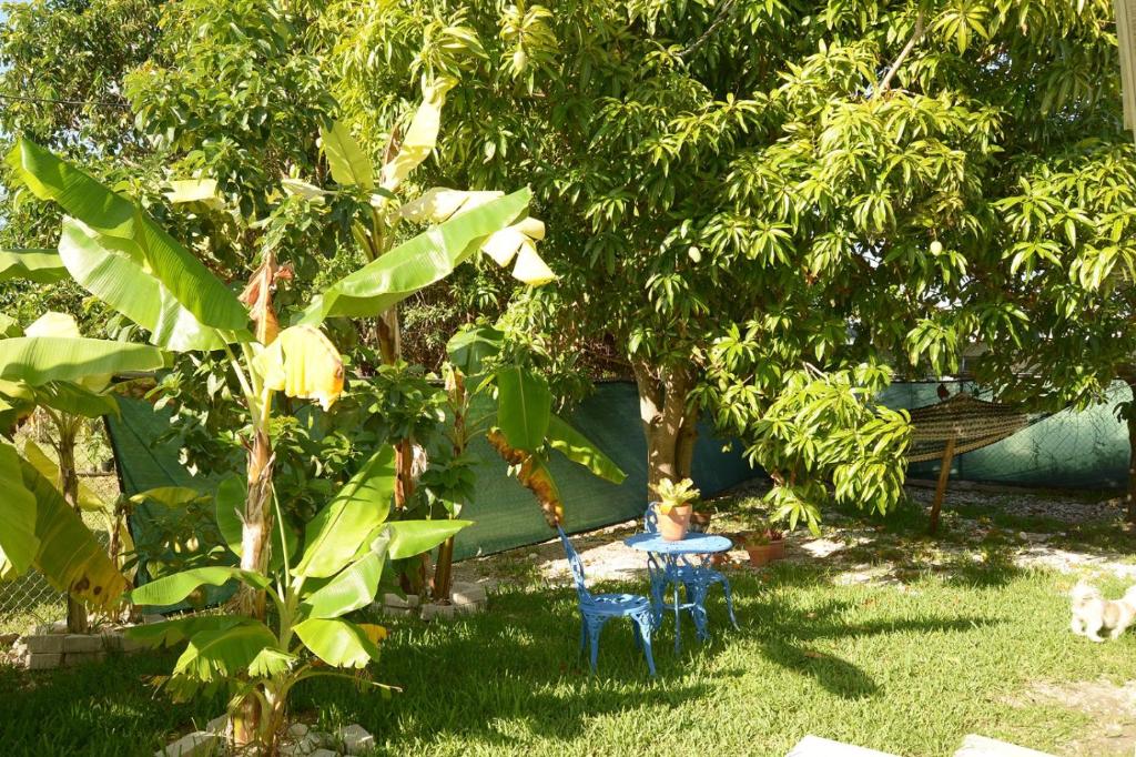 Cottage by Jubilee photo 2