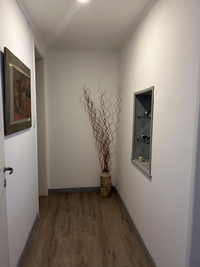 CASI EN CASA photo 2