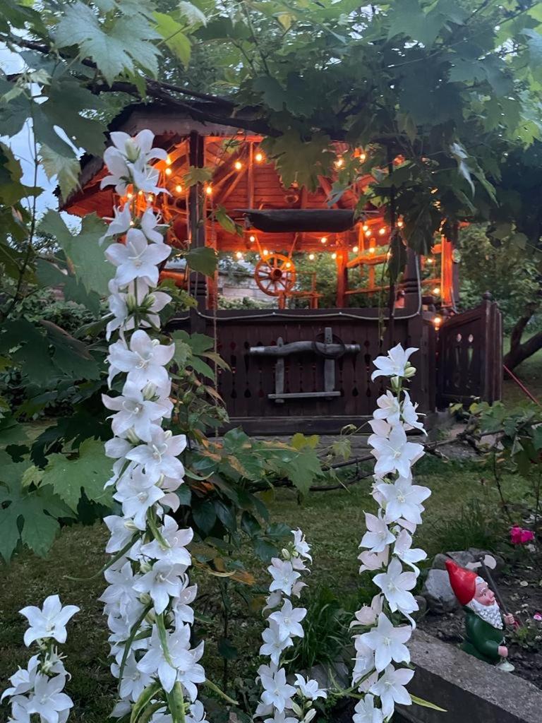 Locuința extraodinară cu șemineu ,grădina , foișor photo 1