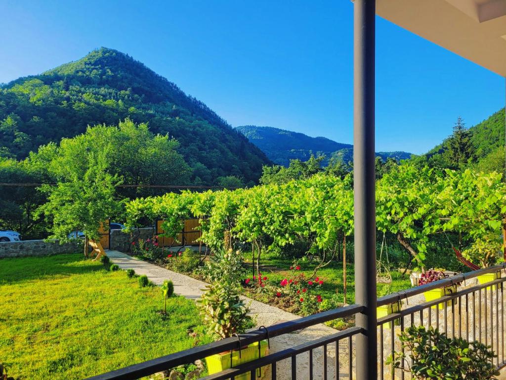 Family hotel mountain panorama