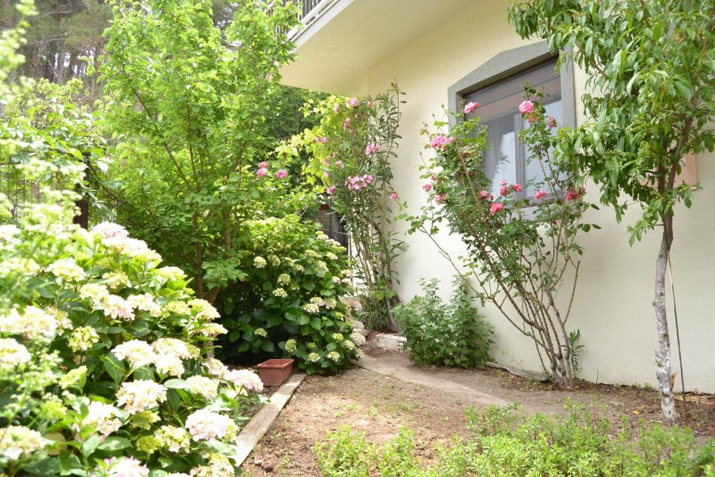 Lazatka flat in capital Chora photo 1