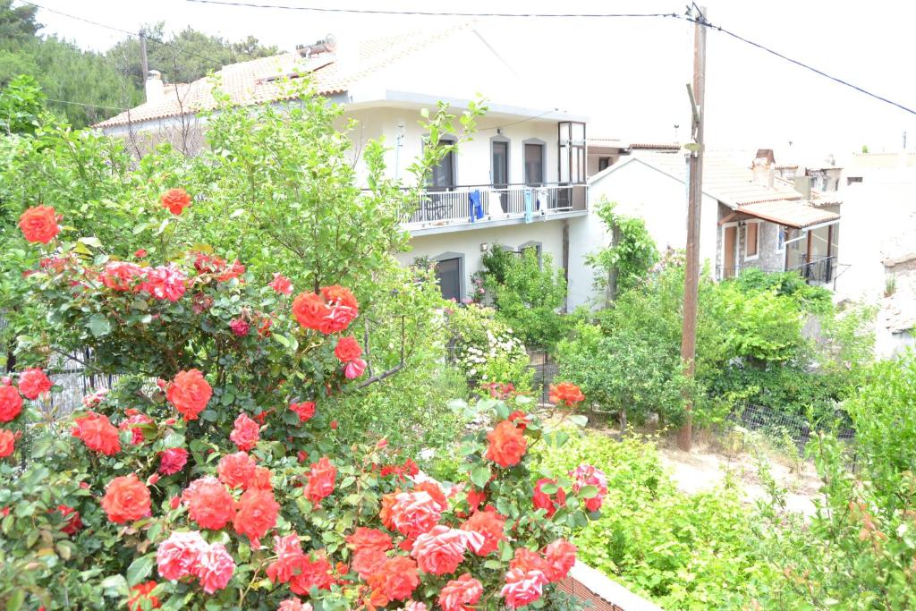 Lazatka flat in capital Chora photo 3