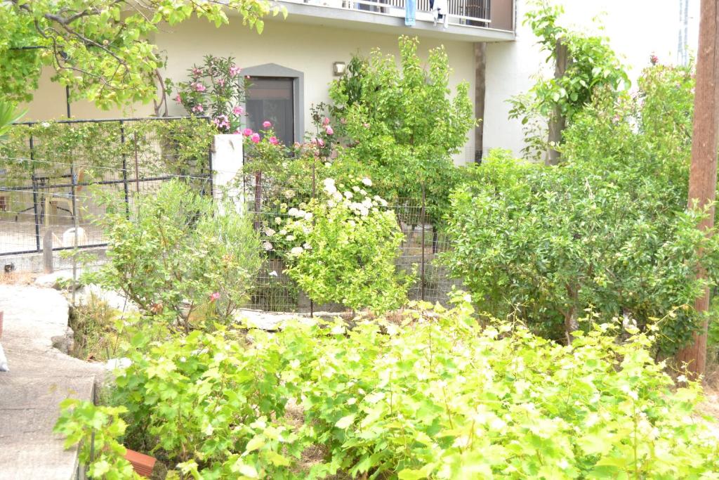 Lazatka flat in capital Chora photo 4