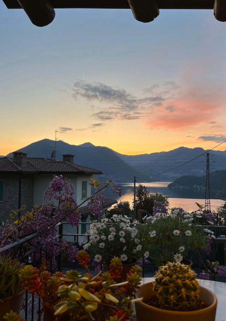 Island Sunset House photo 2