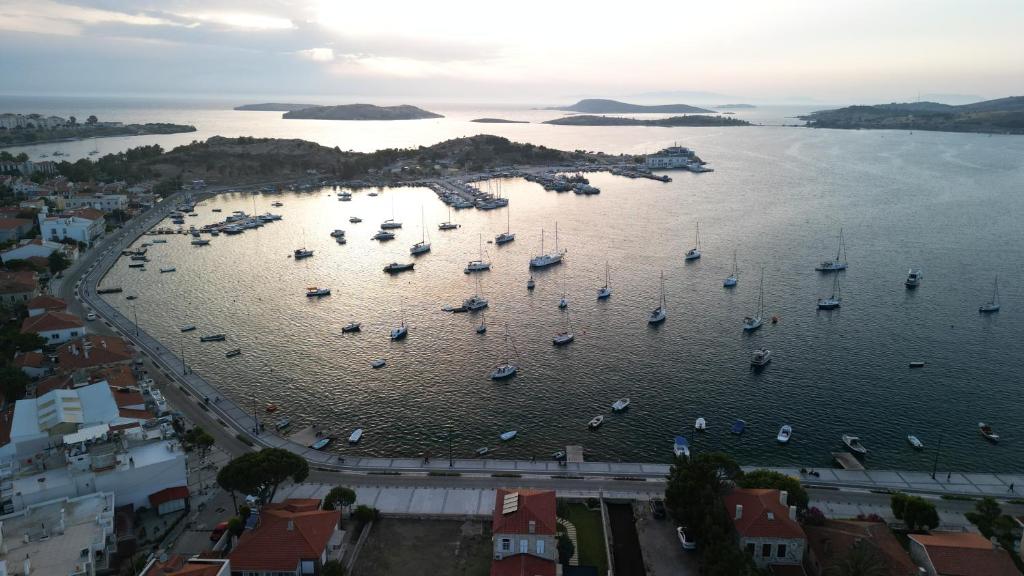 Limon Pansiyon photo 2