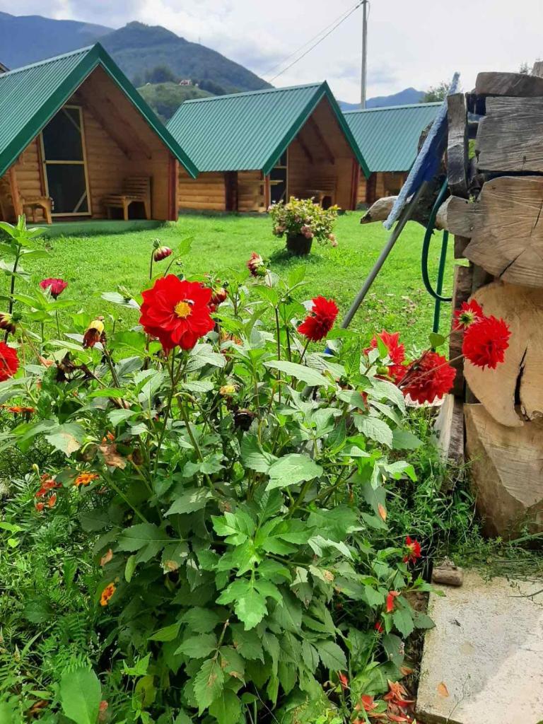 Konaci Očeva Zemlja photo 2