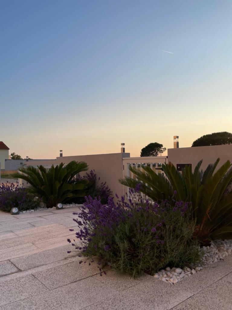 Apartments Villa Prima photo 4