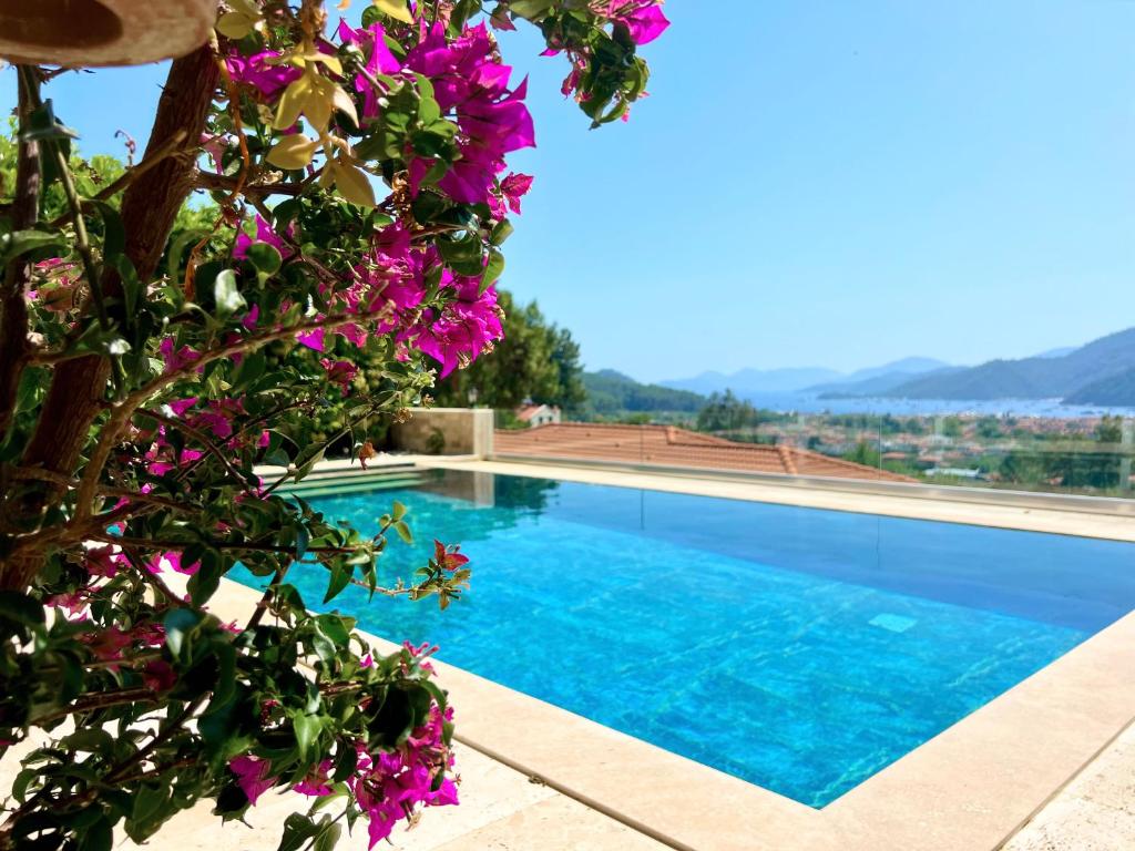 Villa Paradaise is Magnificent Villa with Sea view and infinity Pool
