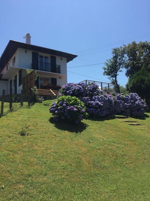 Maison la Corniche Basque avec piscine et vue océan photo 3