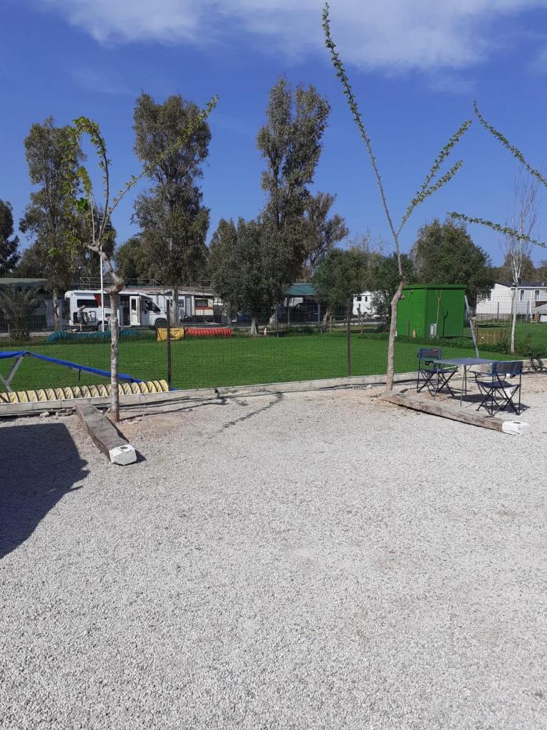 Bungalows Park Albufera photo 3