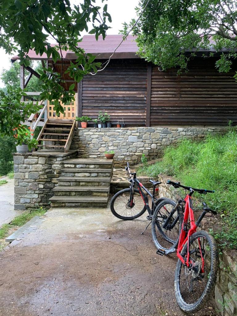 Origjina Farm photo 1