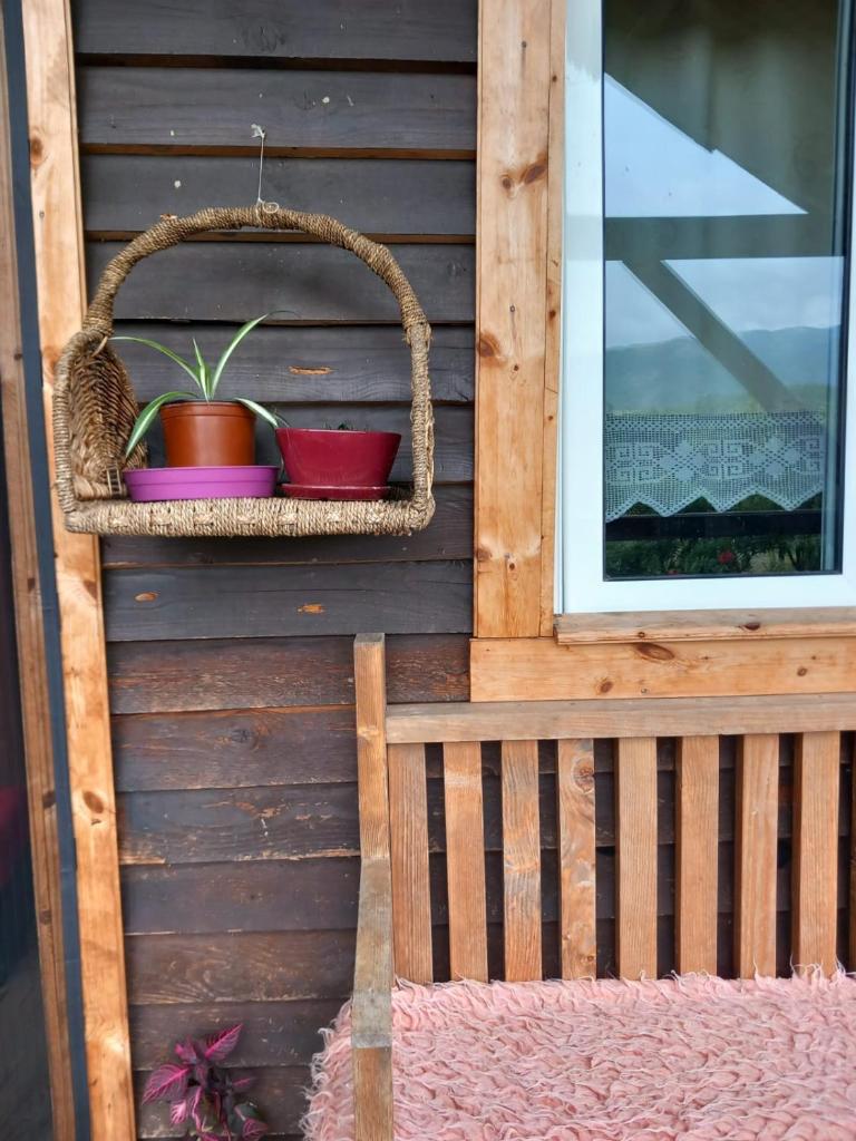 Origjina Farm photo 2