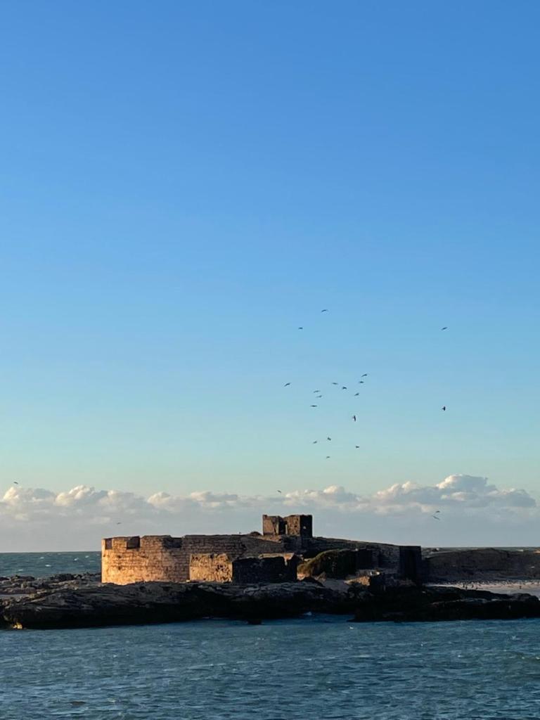 La Symbiose Essaouira photo 1