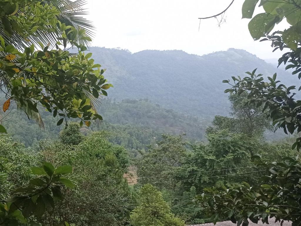 New Elkaduwa LOFT Hotel photo 2