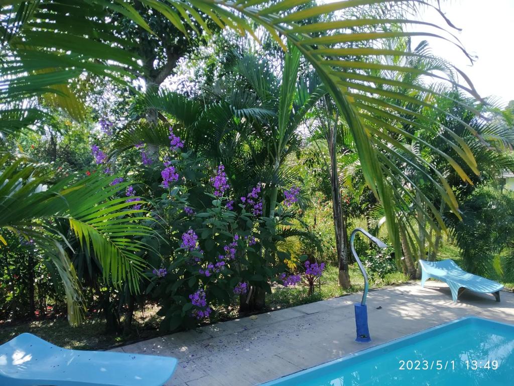 SÍTIO CONQUISTA FELIZ photo 2