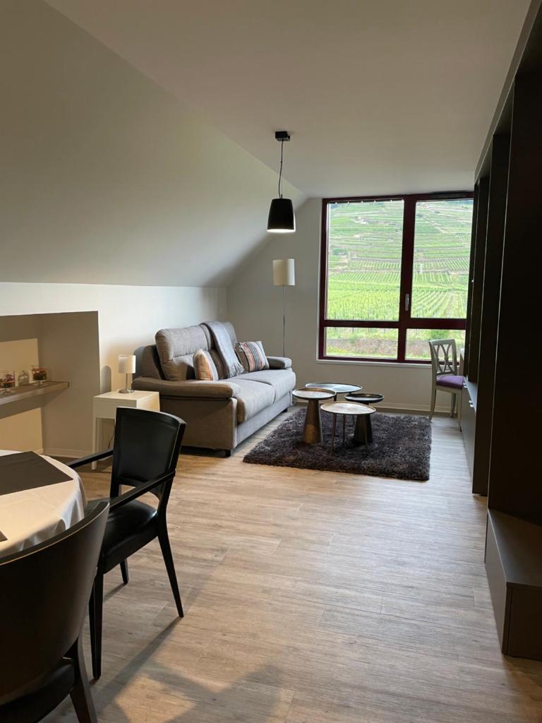 Appartements de Manon au cœur des vignes