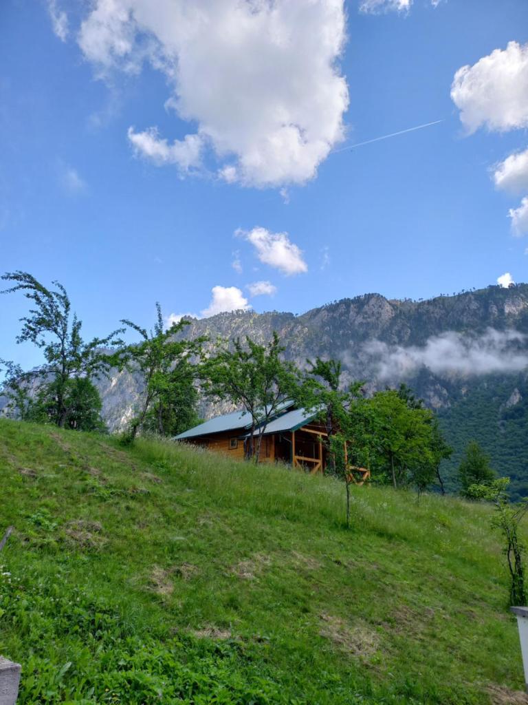 Vila Montana photo 4