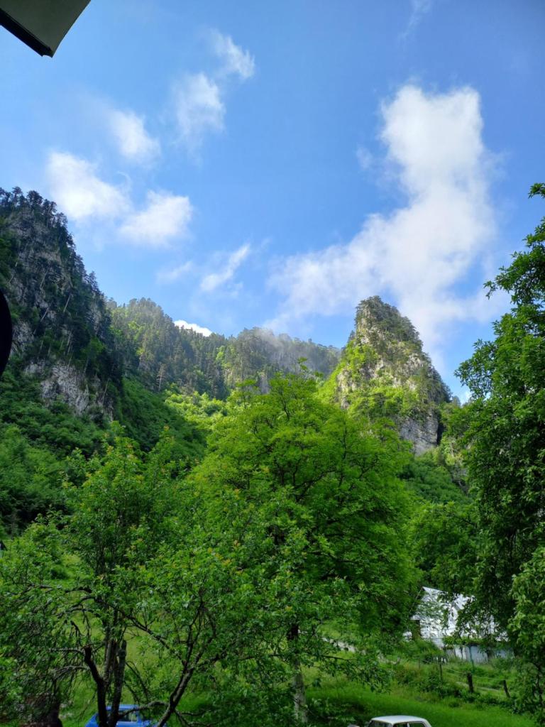 Vila Montana photo 2