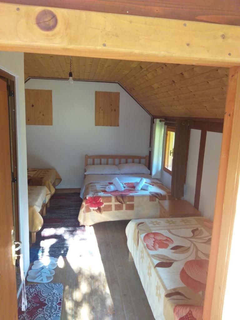 Guest House Flodisa photo 1