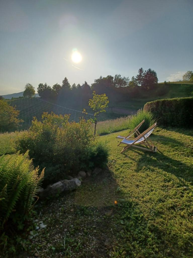 Počitniška hiša Perme photo 1