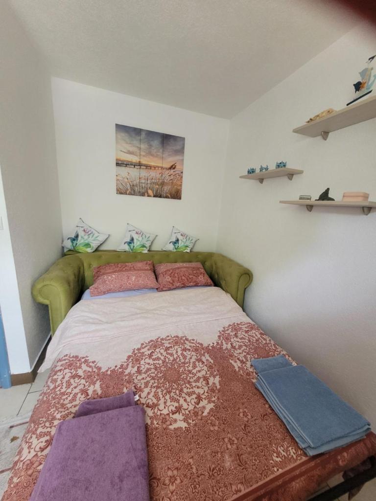 Daisy House photo 2