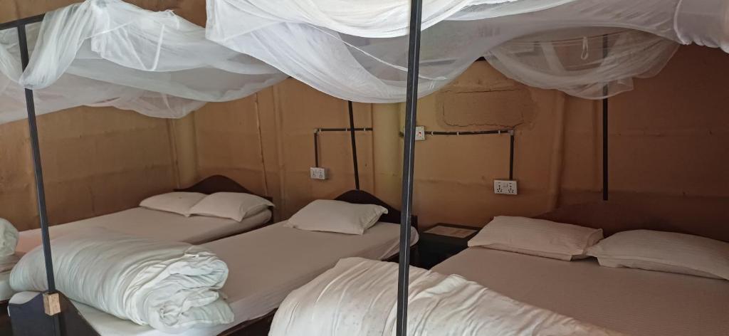 Bardia hostel photo 4