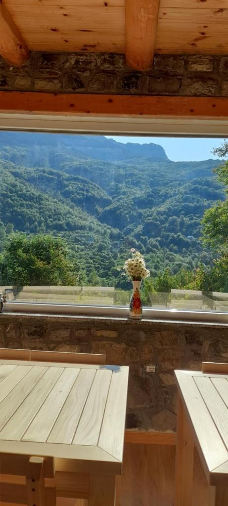 Guesthouse Dritan Tethorja photo 3