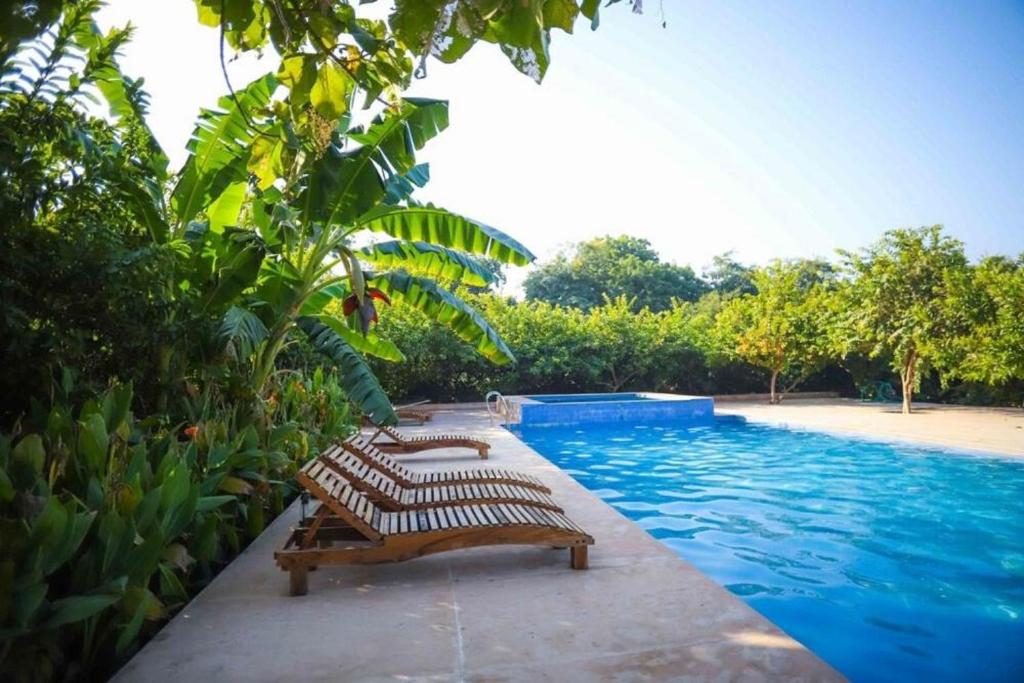 Ranthambore Tiger Inn Comfort Resort photo 4