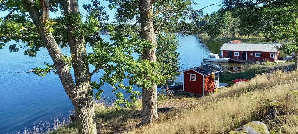 Sankt Anna Bed and Boat, photo 3