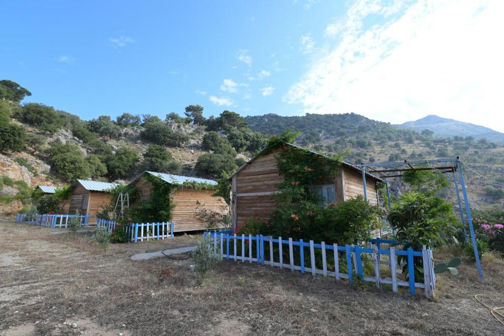 Pavlonya Bungalows photo 3