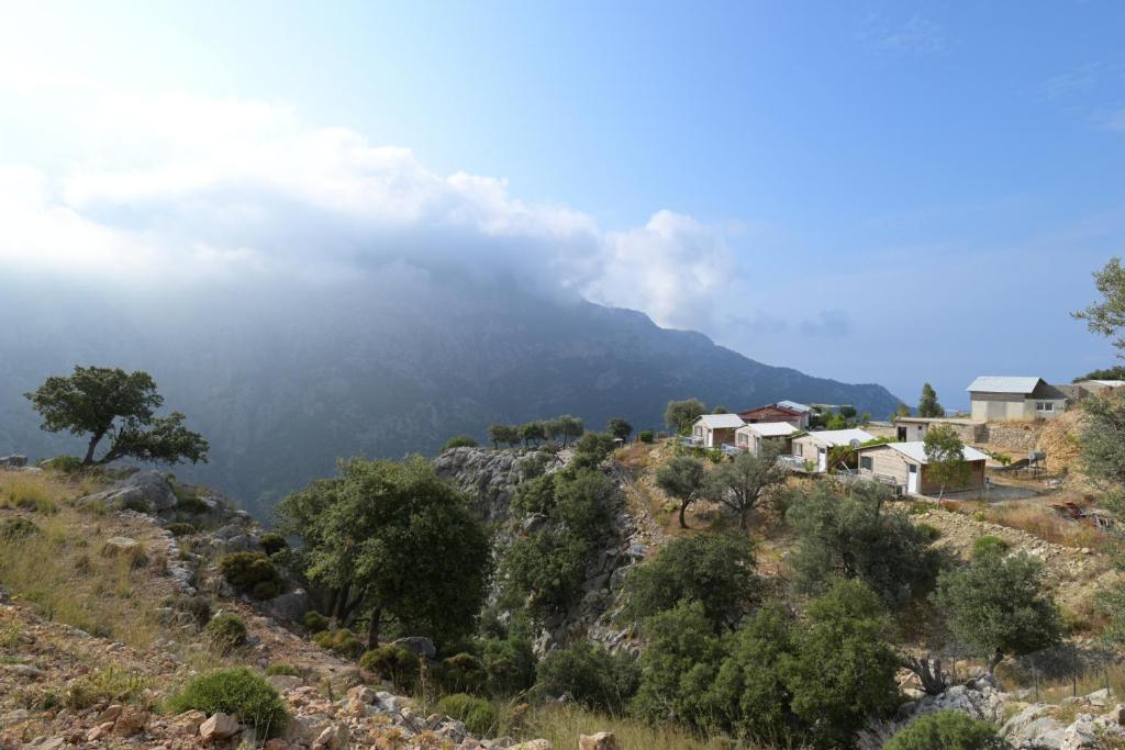 Pavlonya Bungalows photo 2