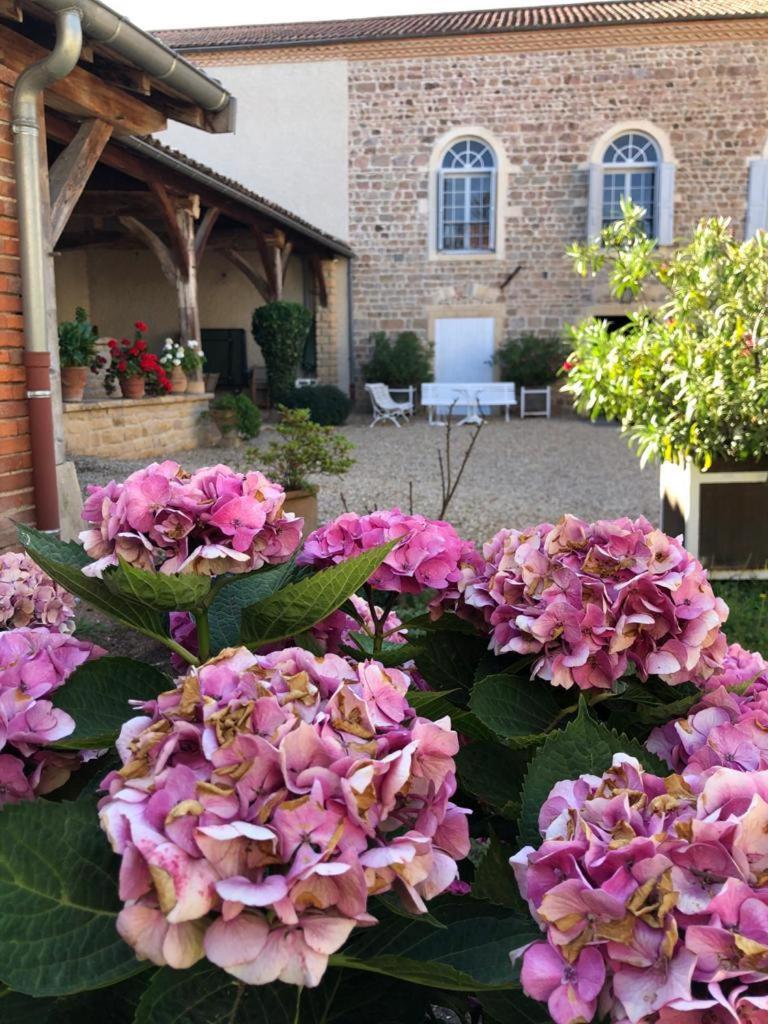 Domaine de La Baisse photo 3