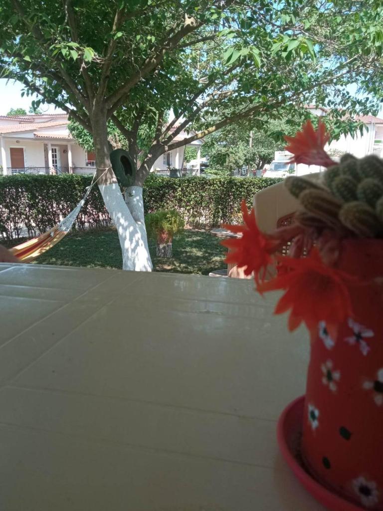Villa Erasmia photo 4