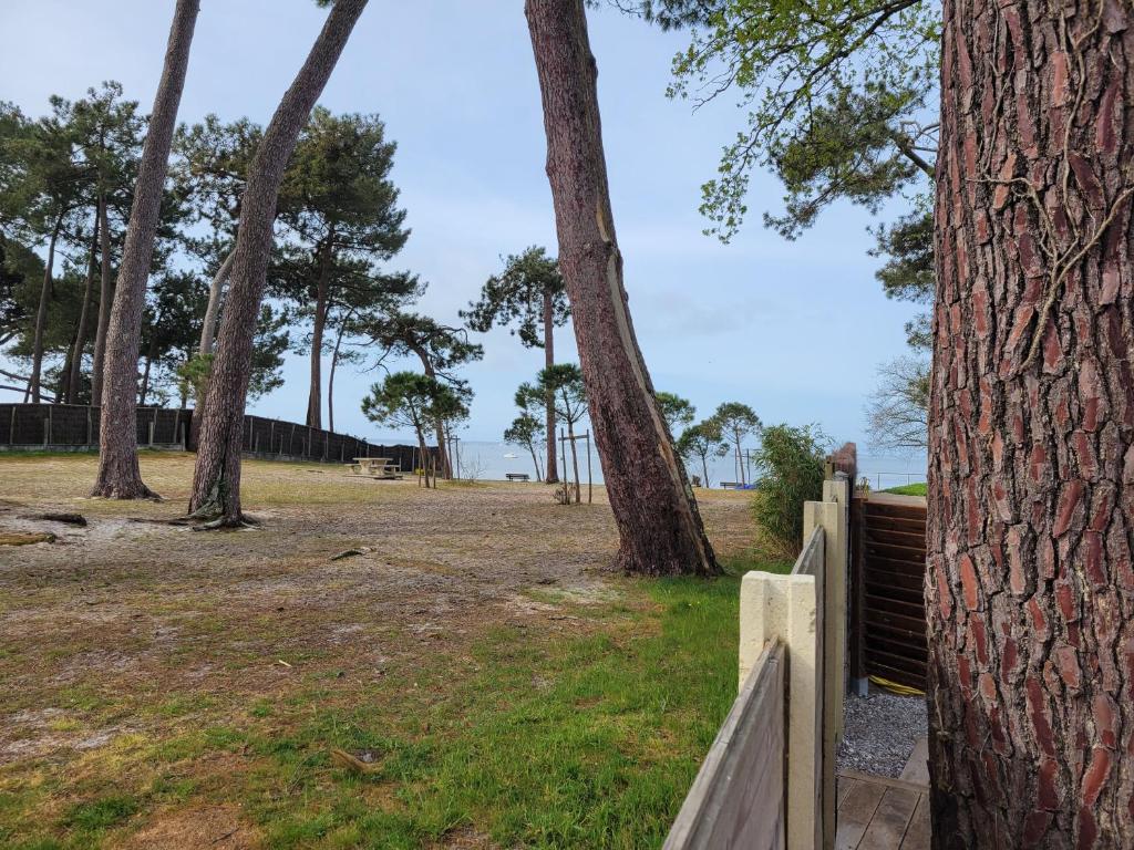 La Cabane de l'Estran au bord de mer photo 3