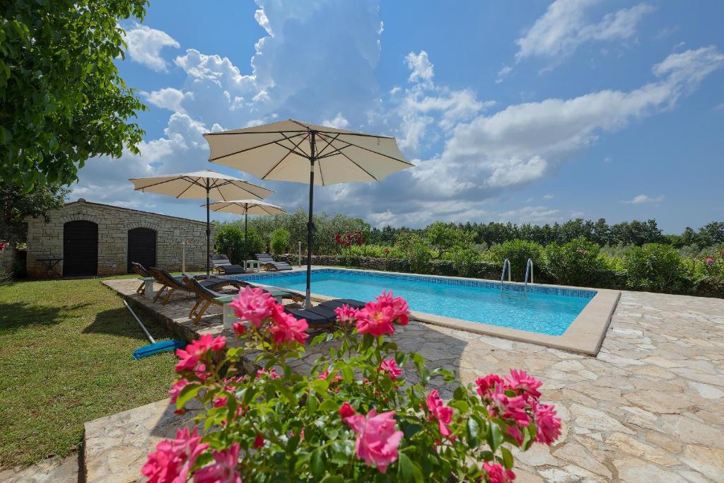 Villa Roza photo 3