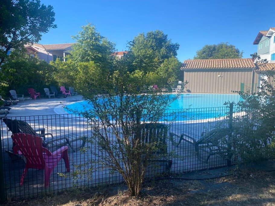 residence les rives marines bassin d arcachon photo 2
