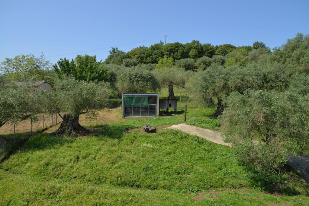 Nature's Garden Villa photo 2