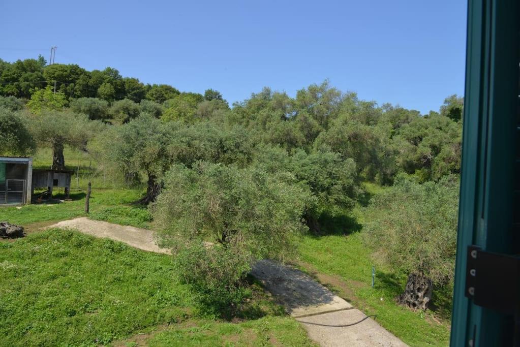 Nature's Garden Villa photo 3