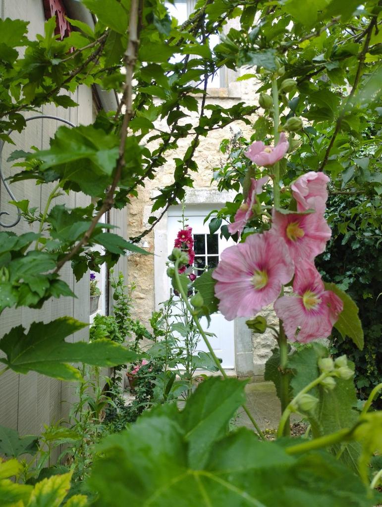 Bourg Joly photo 2