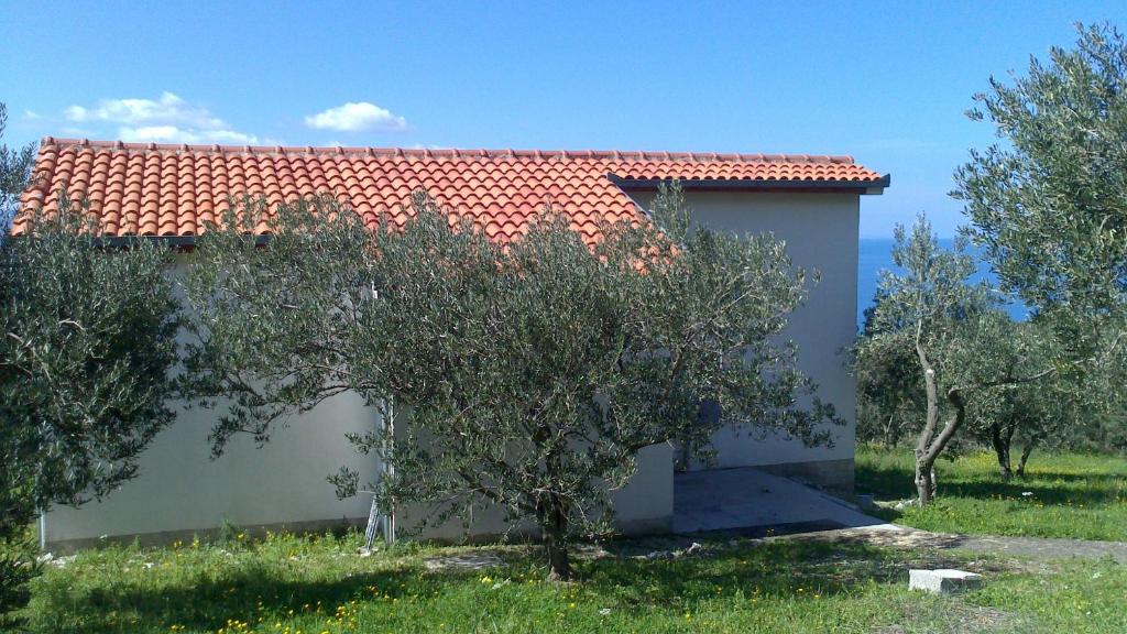 Holiday Home Oliveta photo 1