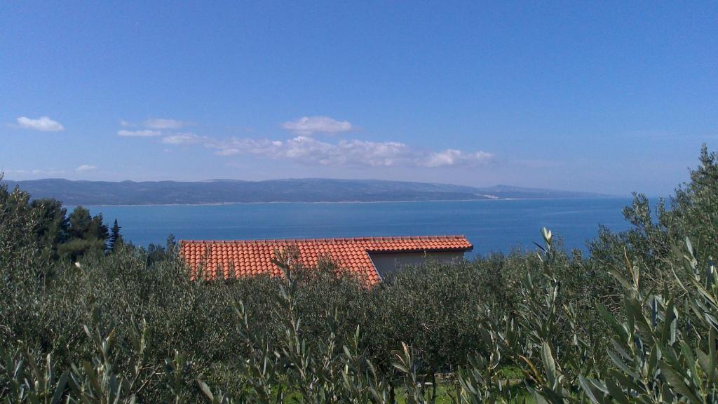 Holiday Home Oliveta photo 2