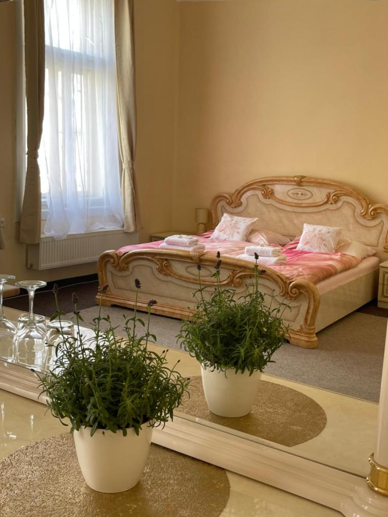 Apartmány vila Týniště photo 2