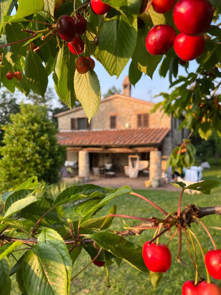 Agriturismo Monte Gusciani photo 1